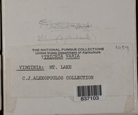 Image Associated With the Occurence